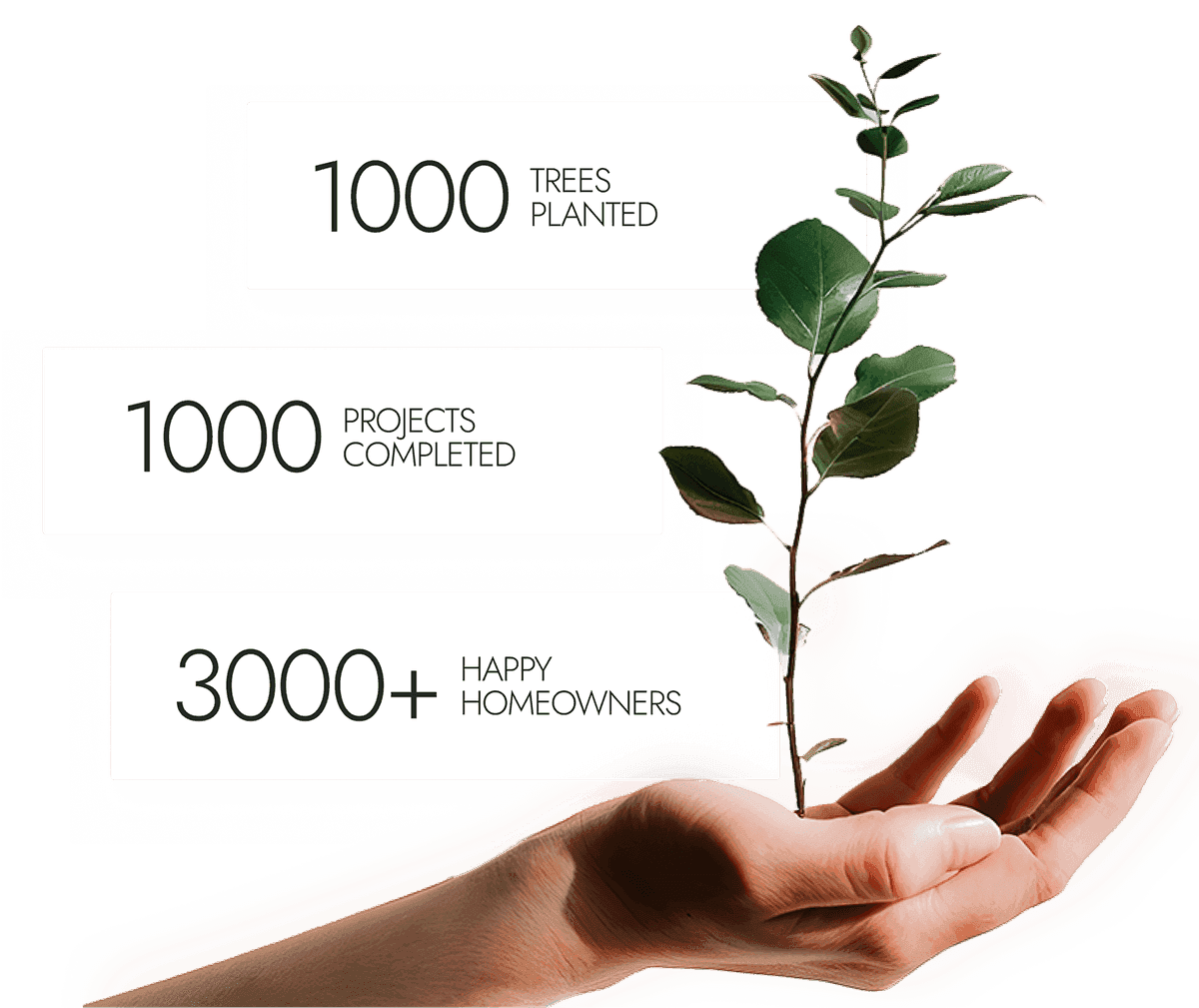 Hand holding a plant with leaves