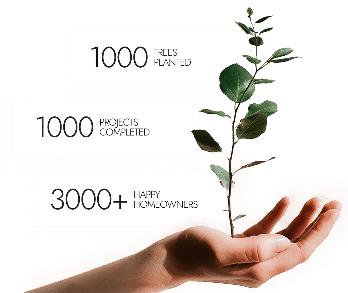 Hand holding a plant with leaves