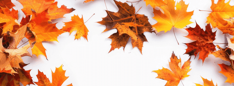 Seasonal maintenance services