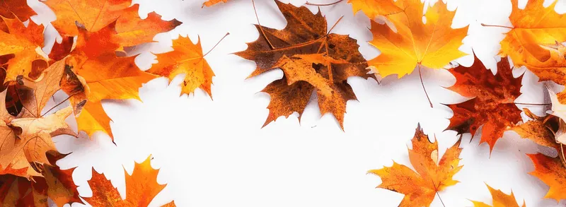 Seasonal maintenance services