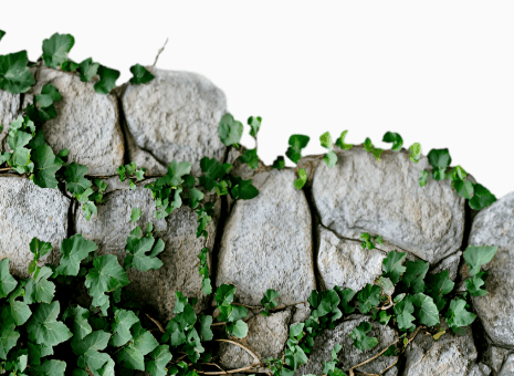 Natural Rock Retaining Wall