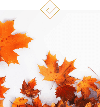 Get Rid of Weeds and Fallen Leaves