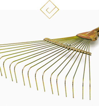 Remove Dead Leaves and Other Debris