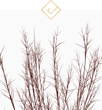 Take Out Dead Shrubs