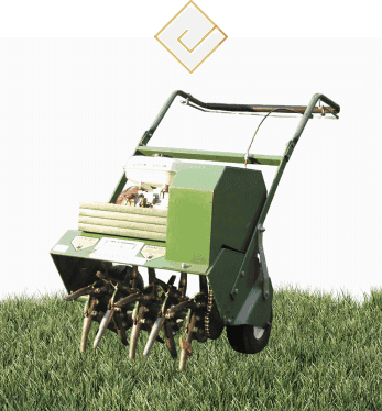 Aerate Lawn