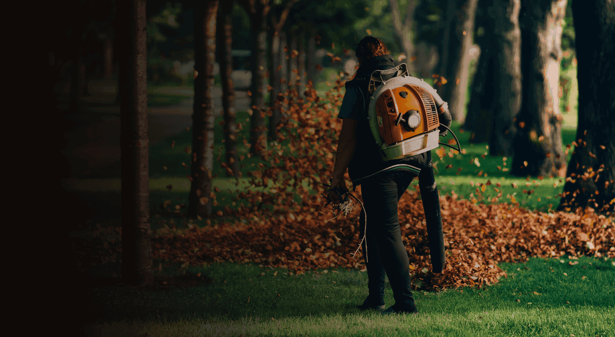 Fall cleanup with leaves being raked