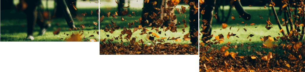 Spring cleanup with dried leaves scattered on the ground