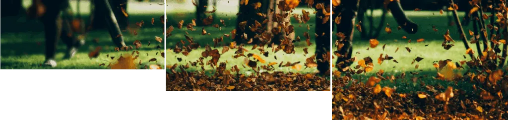 Spring cleanup with dried leaves scattered on the ground