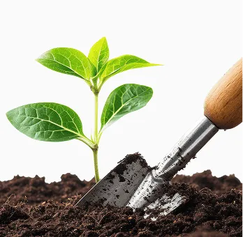 Seeding